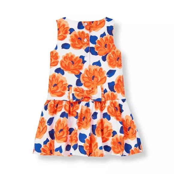 Janie and Jack Collections Coral Blossoms European Travel Dress - Girls Size 4 - Picture 2 of 6